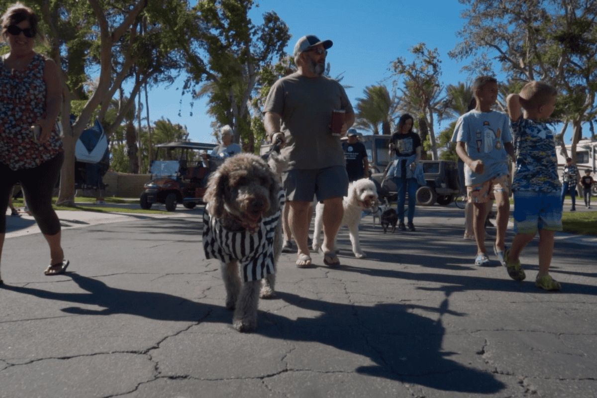 Halloween rally event