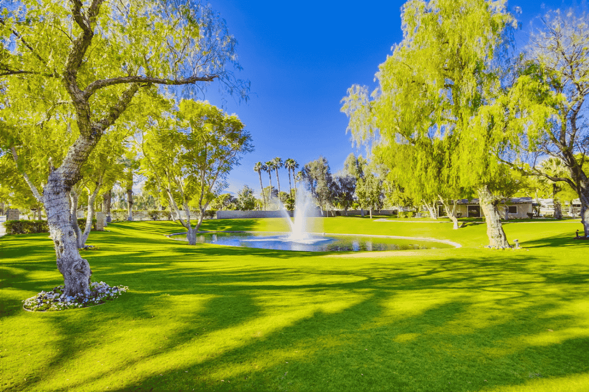 Event Venue at Emerald Desert RV Resort (6)